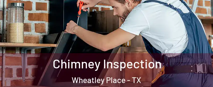 Chimney Inspection Wheatley Place - TX