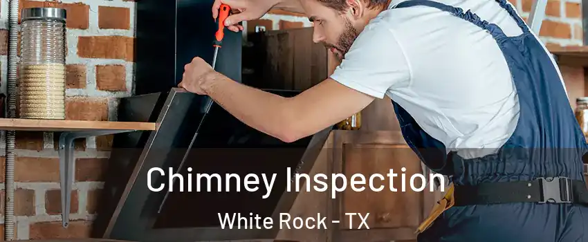 Chimney Inspection White Rock - TX