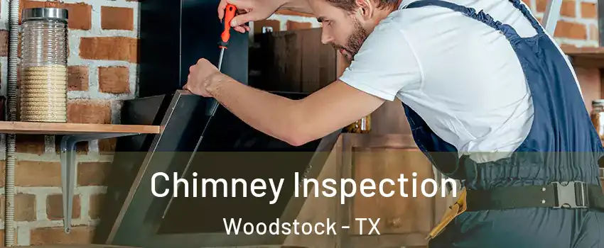 Chimney Inspection Woodstock - TX