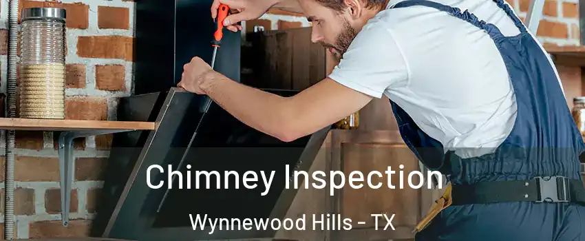 Chimney Inspection Wynnewood Hills - TX