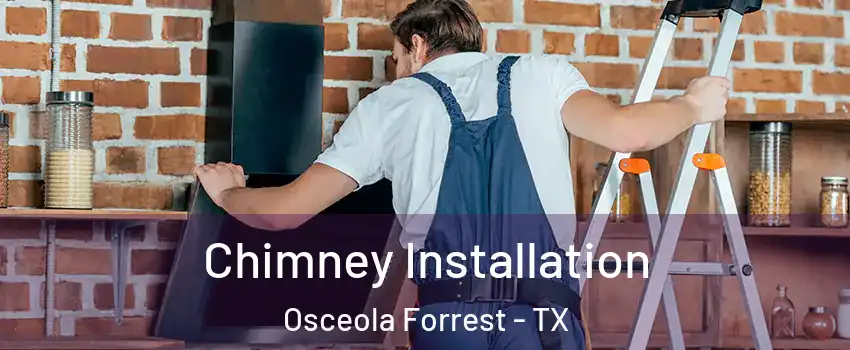 Chimney Installation Osceola Forrest - TX