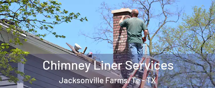 Chimney Liner Services Jacksonville Farms/Te - TX