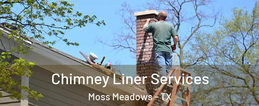 Chimney Liner Services Moss Meadows - TX
