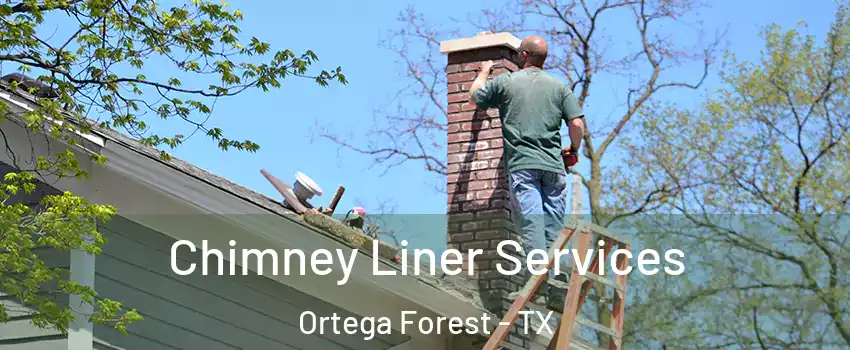 Chimney Liner Services Ortega Forest - TX