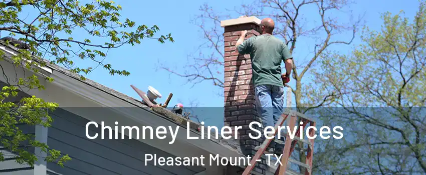 Chimney Liner Services Pleasant Mount - TX