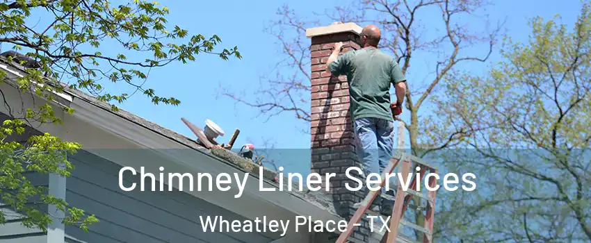 Chimney Liner Services Wheatley Place - TX
