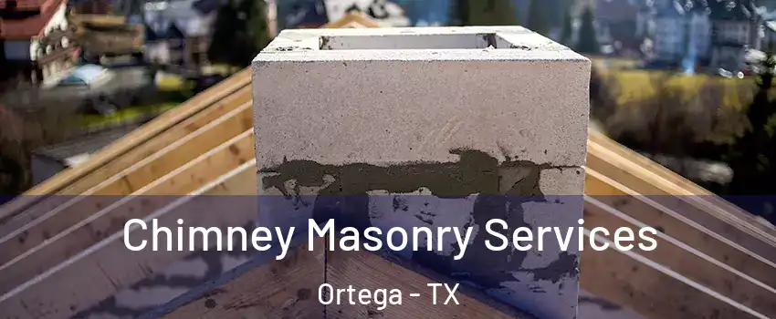 Chimney Masonry Services Ortega - TX