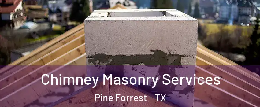 Chimney Masonry Services Pine Forrest - TX