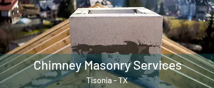 Chimney Masonry Services Tisonia - TX