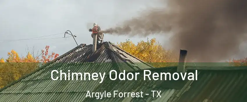Chimney Odor Removal Argyle Forrest - TX