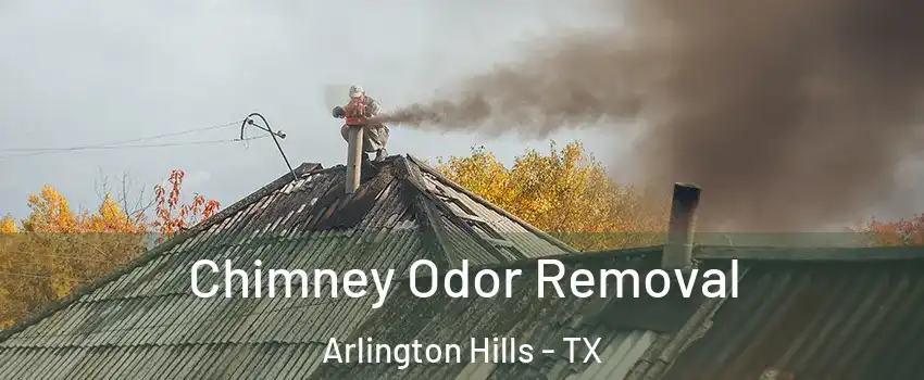 Chimney Odor Removal Arlington Hills - TX