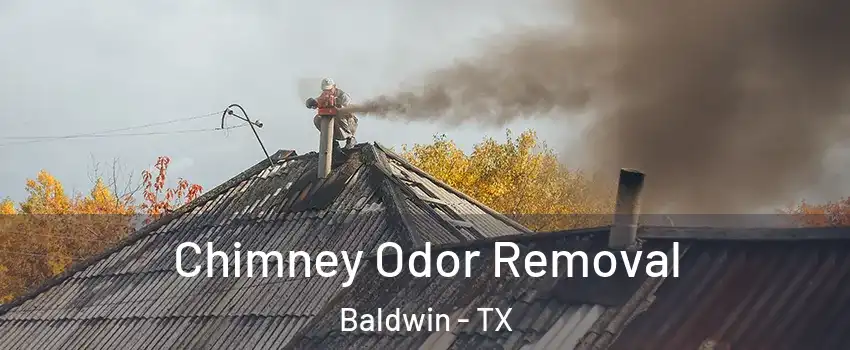 Chimney Odor Removal Baldwin - TX