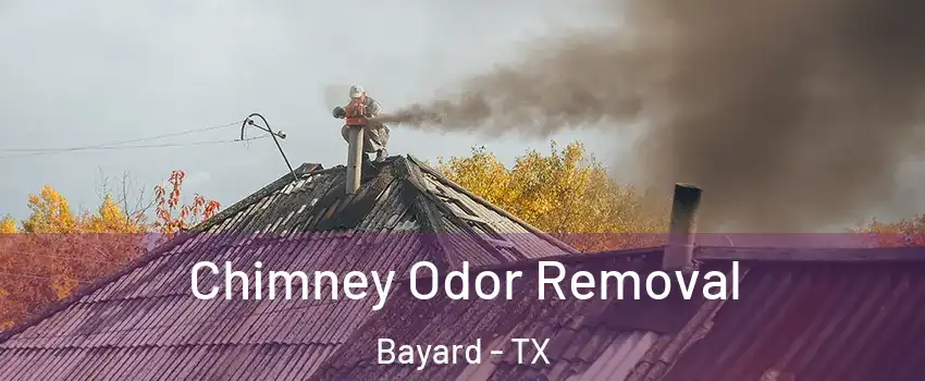 Chimney Odor Removal Bayard - TX
