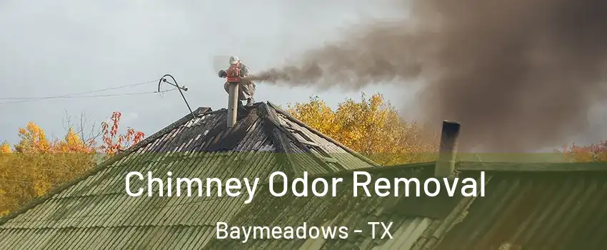 Chimney Odor Removal Baymeadows - TX