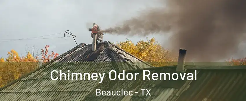 Chimney Odor Removal Beauclec - TX