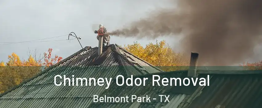 Chimney Odor Removal Belmont Park - TX