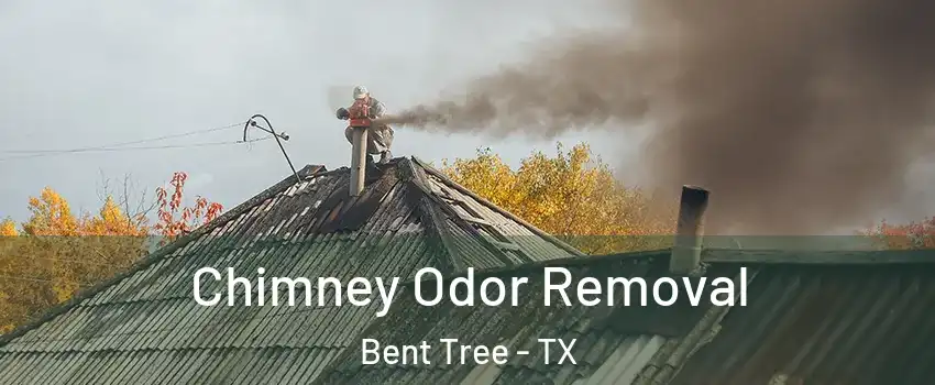 Chimney Odor Removal Bent Tree - TX