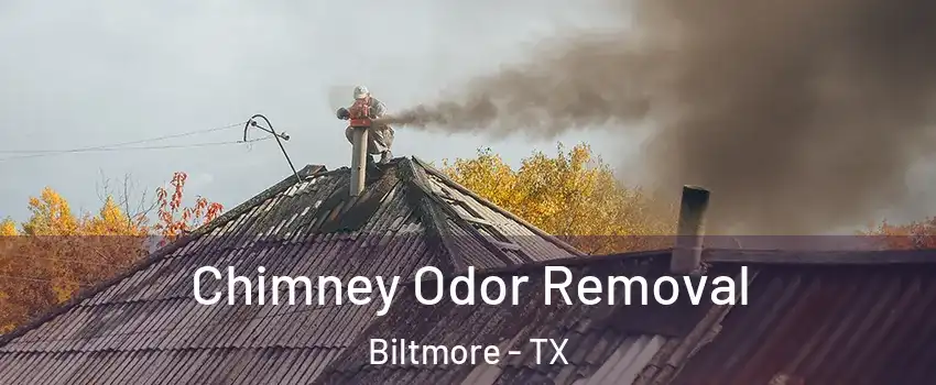 Chimney Odor Removal Biltmore - TX