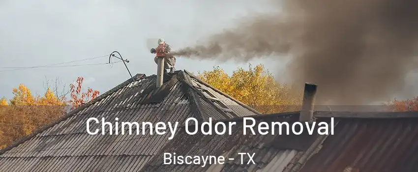 Chimney Odor Removal Biscayne - TX