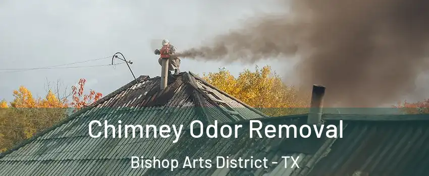 Chimney Odor Removal Bishop Arts District - TX
