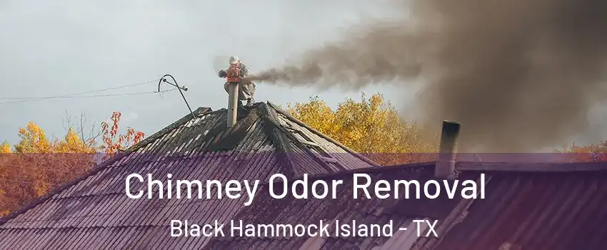Chimney Odor Removal Black Hammock Island - TX