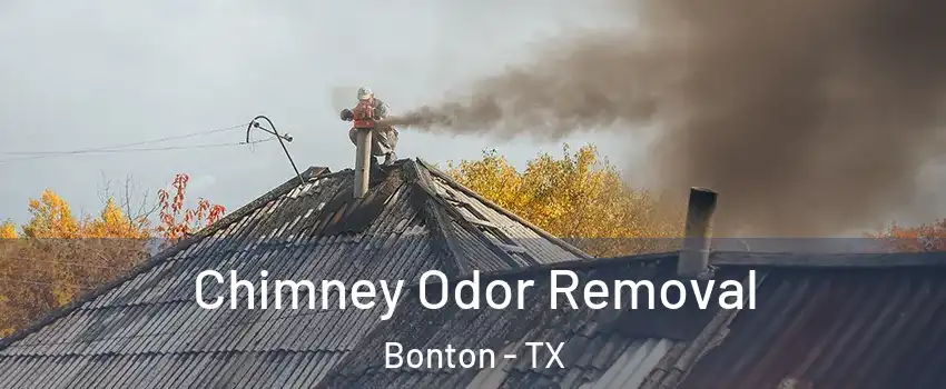 Chimney Odor Removal Bonton - TX
