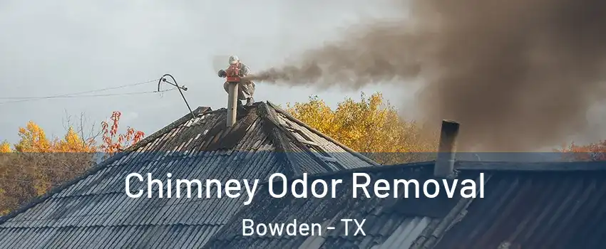 Chimney Odor Removal Bowden - TX