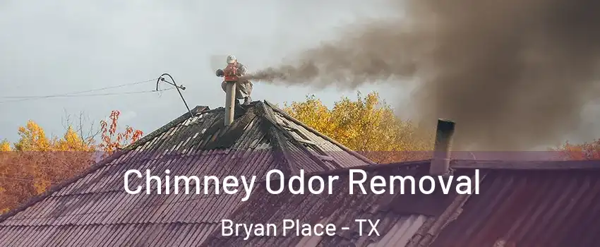 Chimney Odor Removal Bryan Place - TX