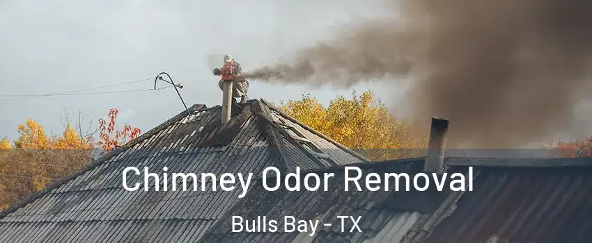 Chimney Odor Removal Bulls Bay - TX