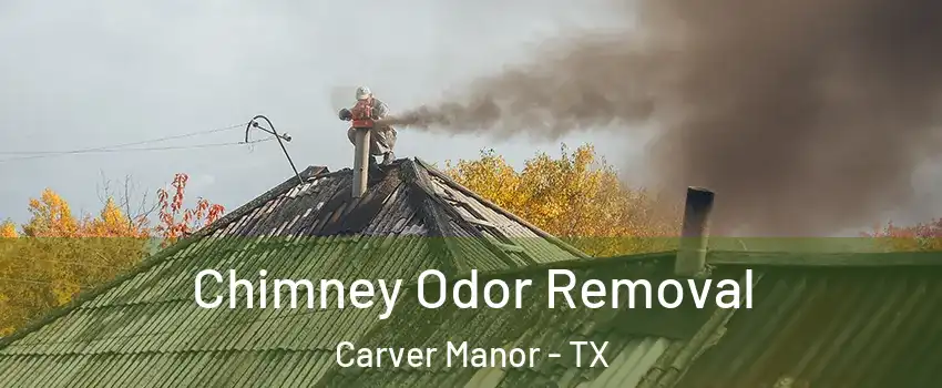 Chimney Odor Removal Carver Manor - TX