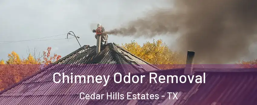 Chimney Odor Removal Cedar Hills Estates - TX