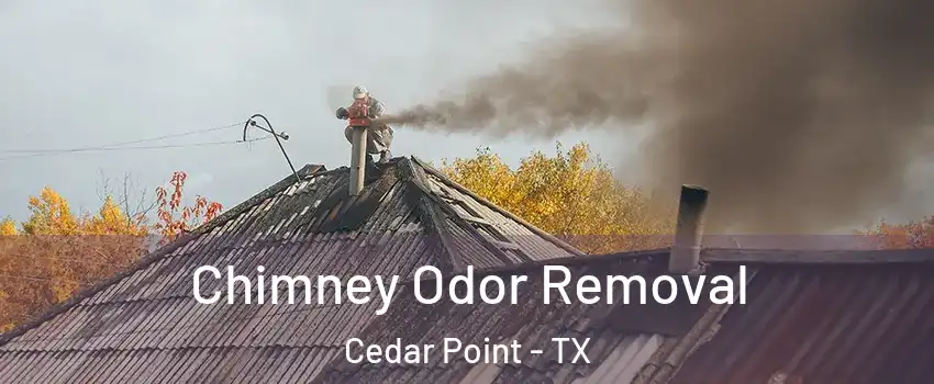 Chimney Odor Removal Cedar Point - TX