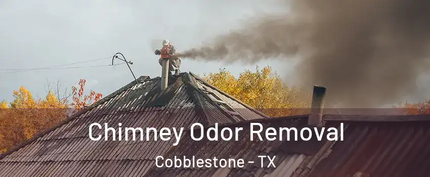 Chimney Odor Removal Cobblestone - TX