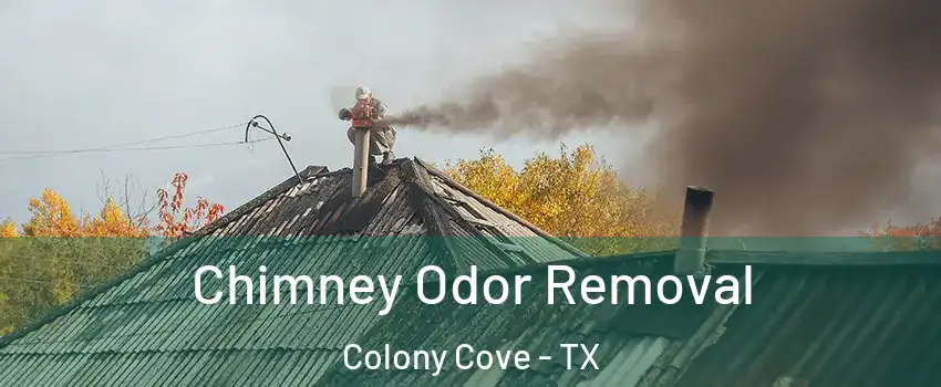 Chimney Odor Removal Colony Cove - TX