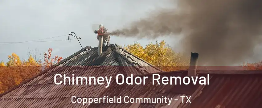 Chimney Odor Removal Copperfield Community - TX