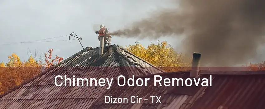 Chimney Odor Removal Dizon Cir - TX
