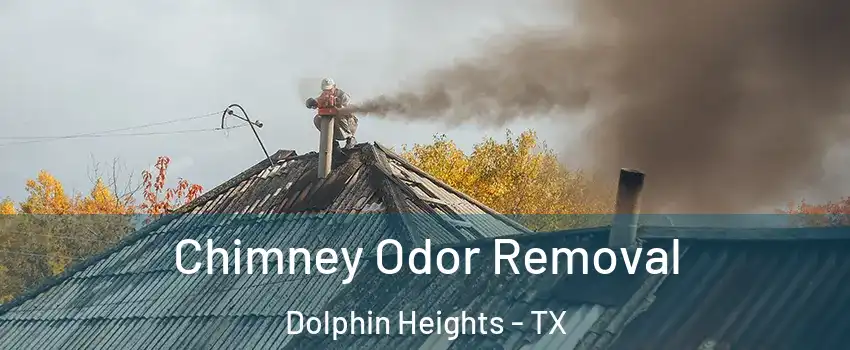 Chimney Odor Removal Dolphin Heights - TX