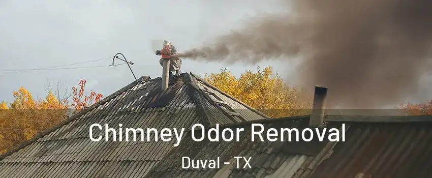 Chimney Odor Removal Duval - TX