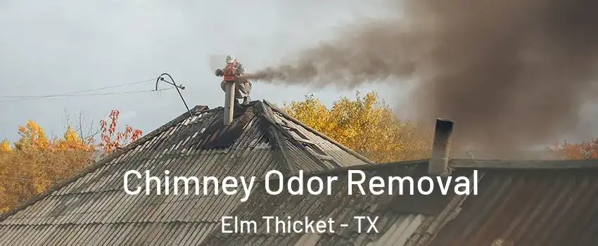 Chimney Odor Removal Elm Thicket - TX