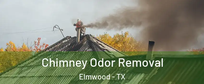 Chimney Odor Removal Elmwood - TX