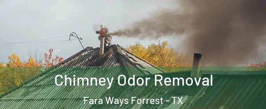 Chimney Odor Removal Fara Ways Forrest - TX