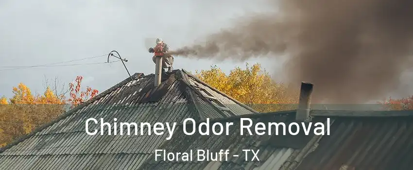 Chimney Odor Removal Floral Bluff - TX