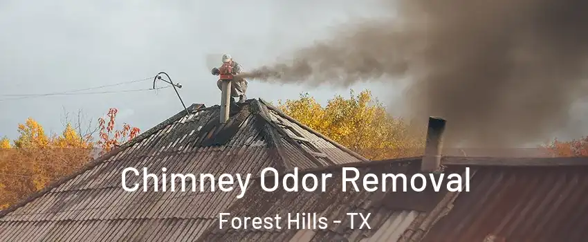 Chimney Odor Removal Forest Hills - TX