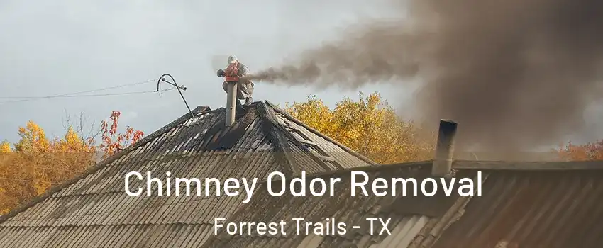 Chimney Odor Removal Forrest Trails - TX