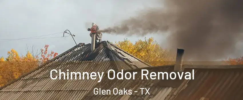 Chimney Odor Removal Glen Oaks - TX