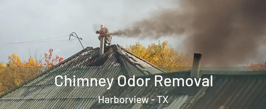 Chimney Odor Removal Harborview - TX
