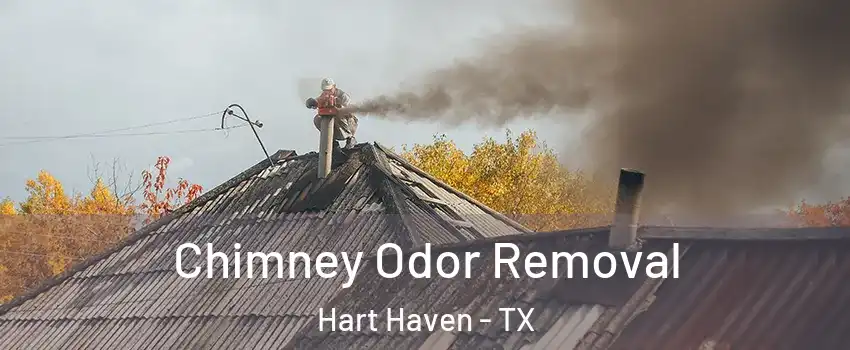 Chimney Odor Removal Hart Haven - TX