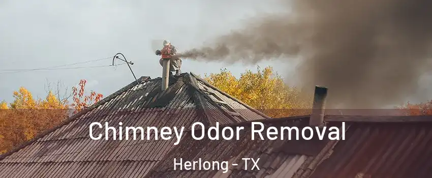 Chimney Odor Removal Herlong - TX