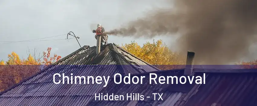 Chimney Odor Removal Hidden Hills - TX