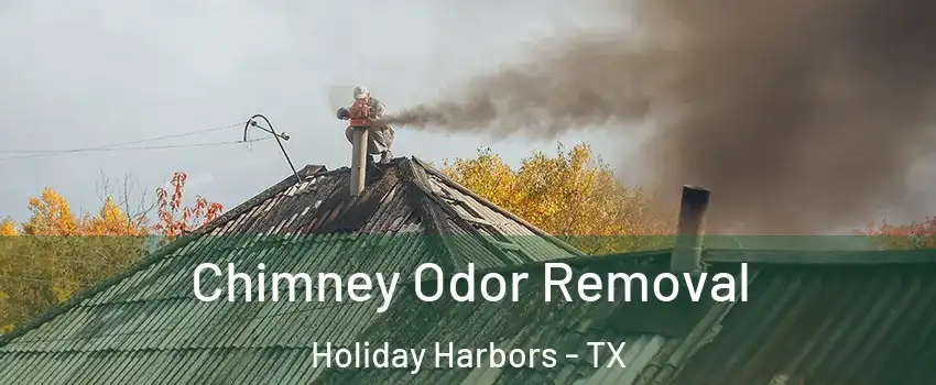 Chimney Odor Removal Holiday Harbors - TX